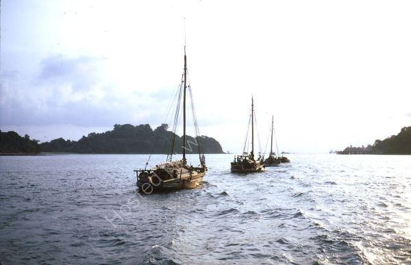 Train of Laden Sailing Boats, Singapore Harbour